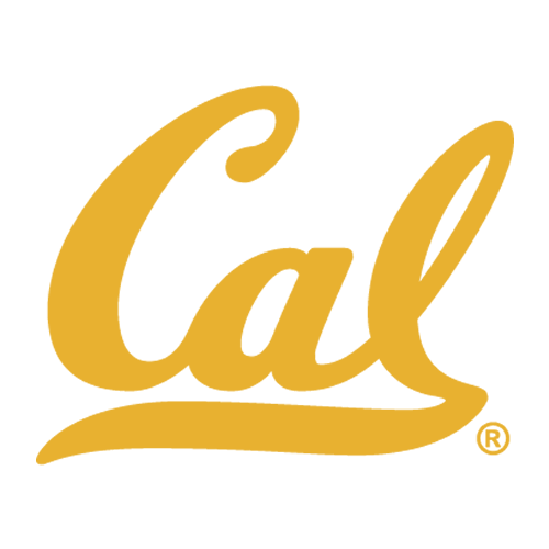 Cal Script Logo
